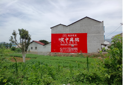 大悟做墙体广告的意义
