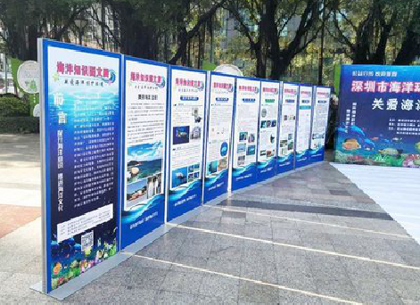 大悟KT板的种类和知识。